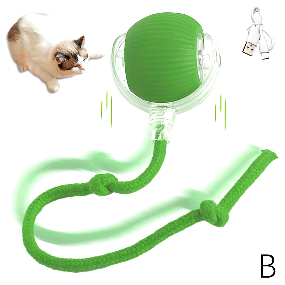 Cozy Cat Interactive Ball