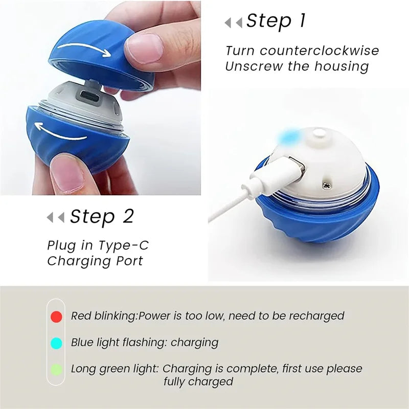 Smart Mr. Wiggle Pet Toy Ball