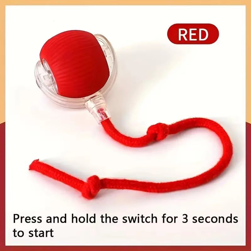 Smart Mr. Wiggle Pet Toy Ball