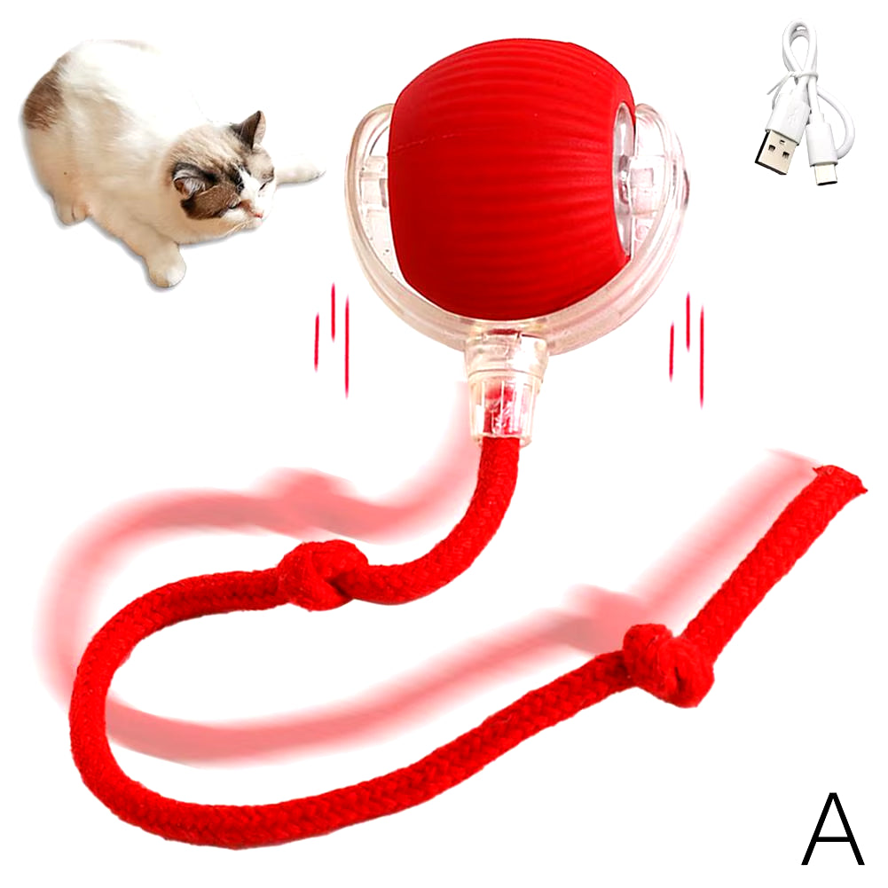 Cozy Cat Interactive Ball