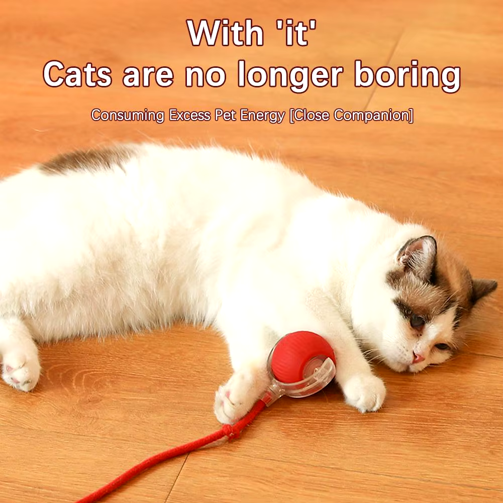 Cozy Cat Interactive Ball