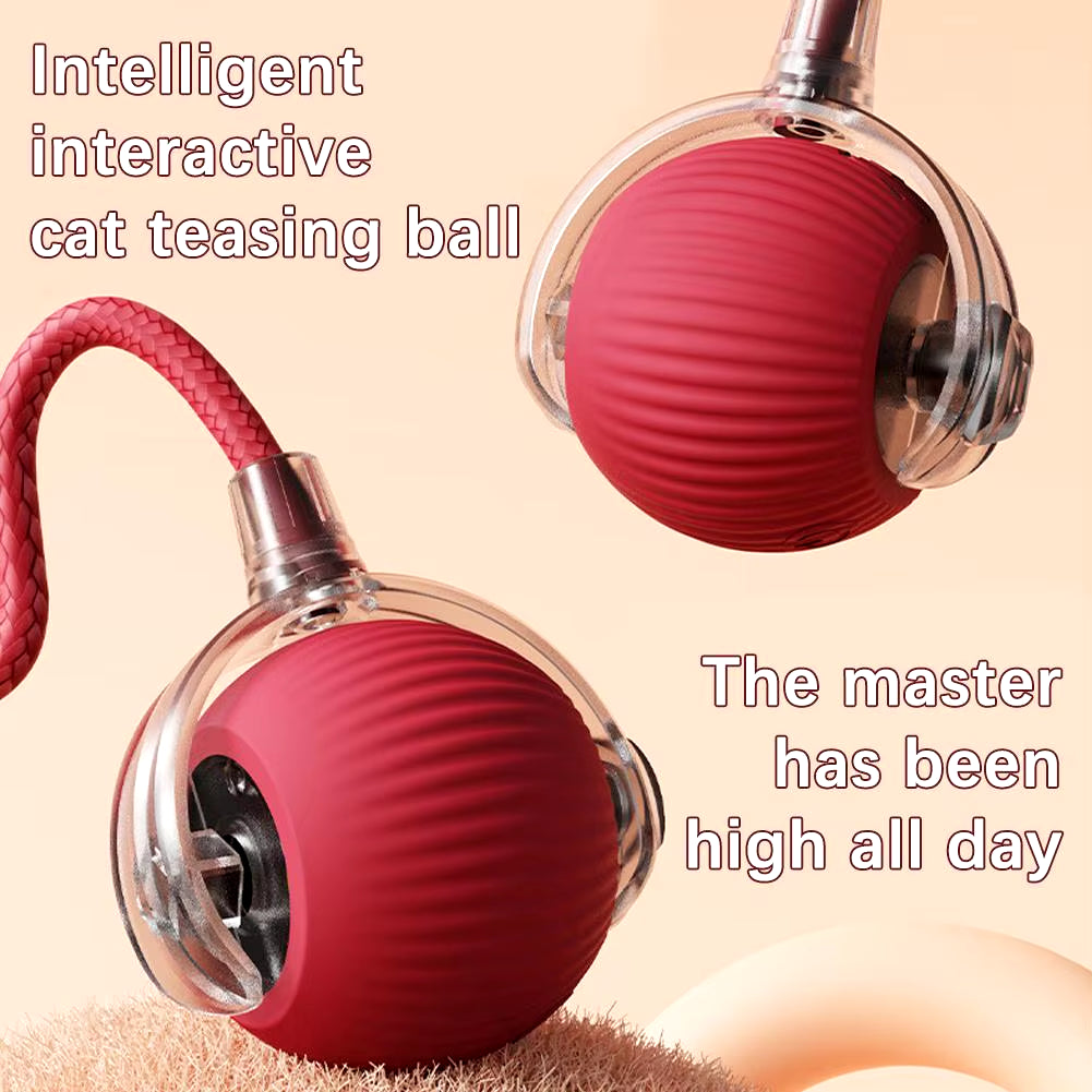 Cozy Cat Interactive Ball