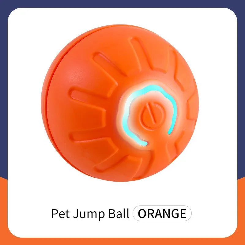 Smart Mr. Wiggle Pet Toy Ball