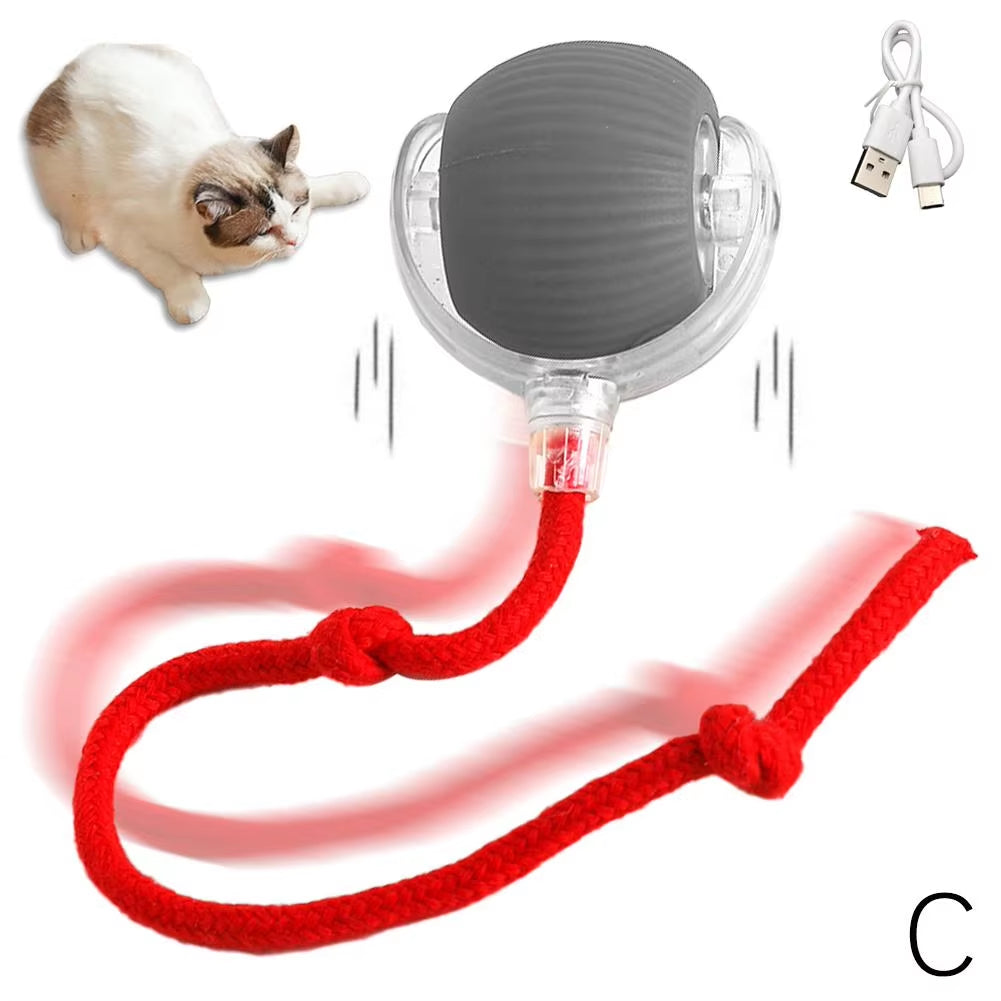 Cozy Cat Interactive Ball