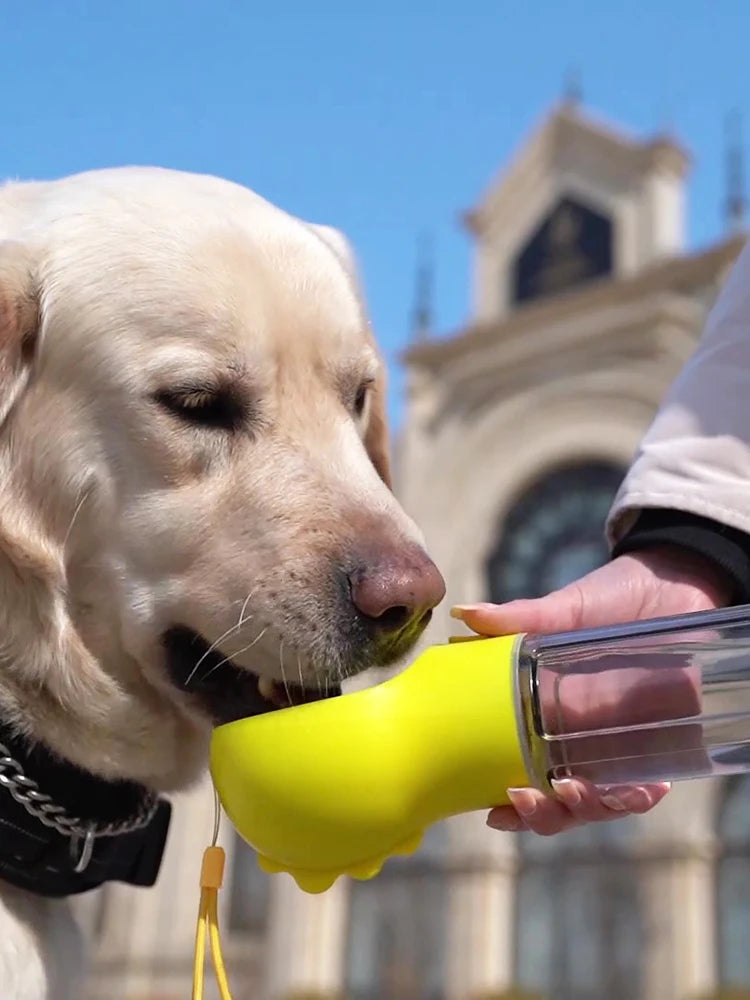 3 in 1 Pet Water Bottle-Food Feeder Dispenser