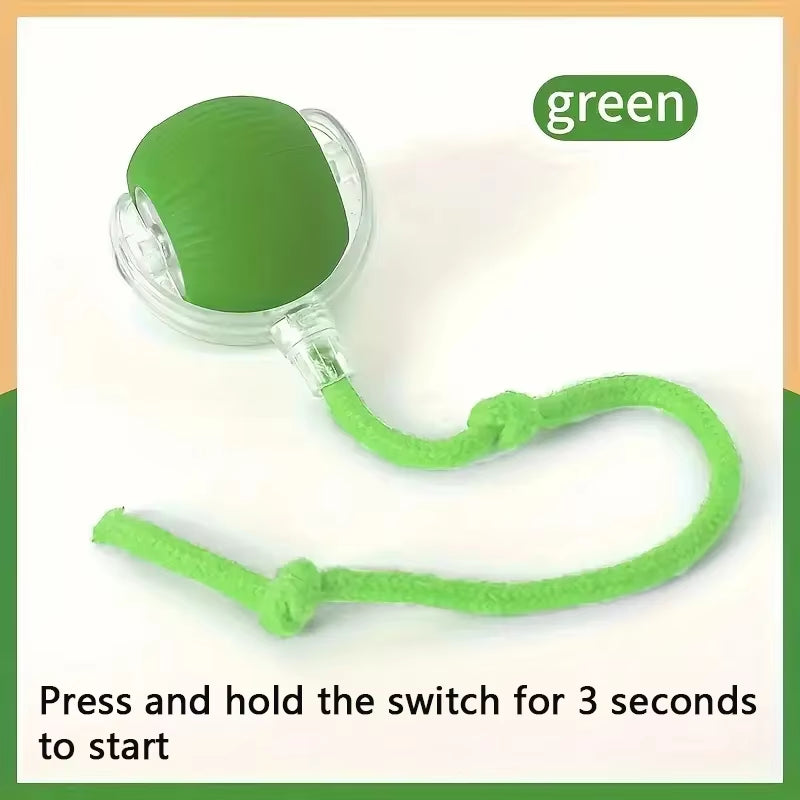 Smart Mr. Wiggle Pet Toy Ball