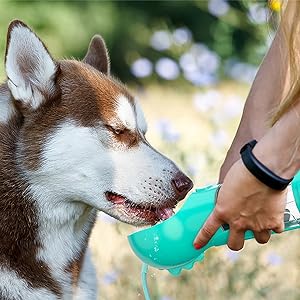 3 in 1 Pet Water Bottle-Food Feeder Dispenser